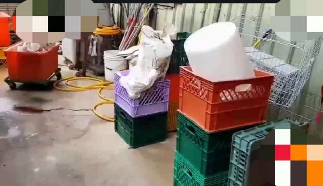 蛋品公司4年違規達17次，“貍貓換太子”揭秘 網友驚呼“這才是真壞蛋”